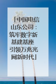 中国电信山东公司：筑牢数字新基建基座 引领万兆光网新时代