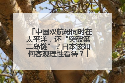 中国双航母同时在太平洋，还“突破第二岛链”？日本该如何客观理性看待？