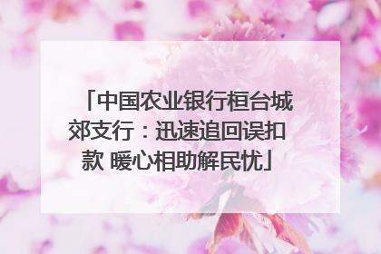 中国农业银行桓台城郊支行：迅速追回误扣款 暖心相助解民忧