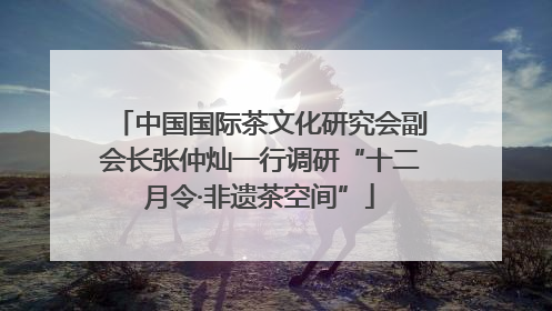 中国国际茶文化研究会副会长张仲灿一行调研“十二月令·非遗茶空间”