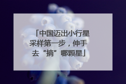 中国迈出小行星采样第一步，伸手去“摘”哪颗星