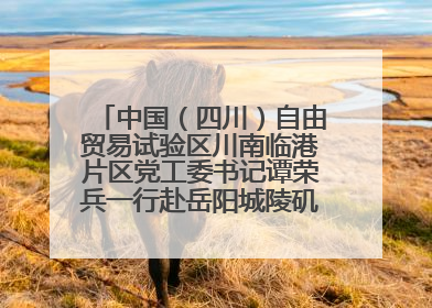 中国（四川）自由贸易试验区川南临港片区党工委书记谭荣兵一行赴岳阳城陵矶综保区考察