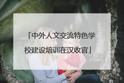 中外人文交流特色学校建设培训在汉收官