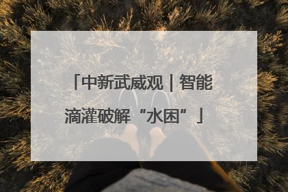 中新武威观｜智能滴灌破解“水困”
