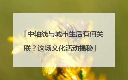中轴线与城市生活有何关联？这场文化活动揭秘