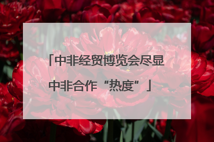 中非经贸博览会尽显中非合作“热度”