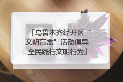 乌鲁木齐经开区“文明盲盒”活动倡导全民践行文明行为