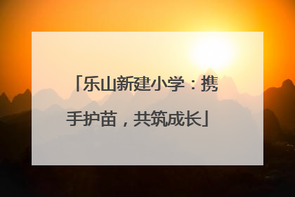 乐山新建小学：携手护苗，共筑成长