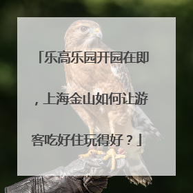 乐高乐园开园在即，上海金山如何让游客吃好住玩得好？