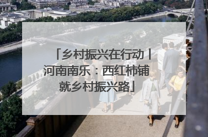 乡村振兴在行动丨河南南乐：西红柿铺就乡村振兴路