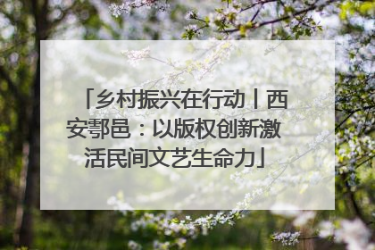 乡村振兴在行动丨西安鄠邑：以版权创新激活民间文艺生命力