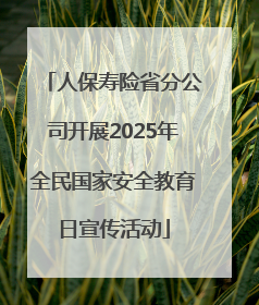 人保寿险省分公司开展2025年全民国家安全教育日宣传活动