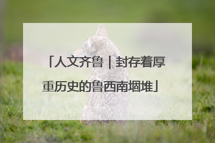 人文齐鲁｜封存着厚重历史的鲁西南堌堆