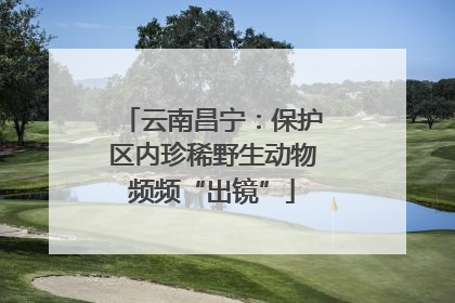 云南昌宁：保护区内珍稀野生动物频频“出镜”