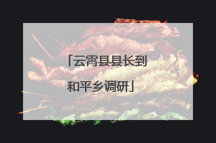 云霄县县长到和平乡调研
