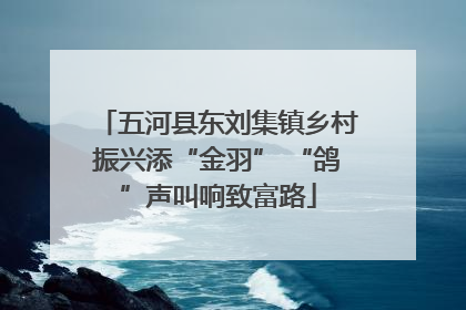 五河县东刘集镇乡村振兴添“金羽” “鸽”声叫响致富路
