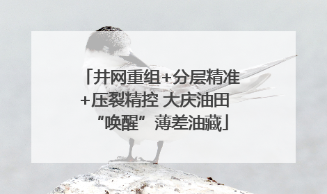 井网重组+分层精准+压裂精控 大庆油田“唤醒”薄差油藏