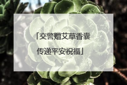 交警赠艾草香囊 传递平安祝福