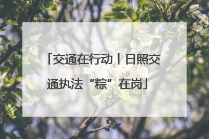 交通在行动丨日照交通执法“粽”在岗