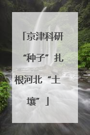 京津科研“种子”扎根河北“土壤”