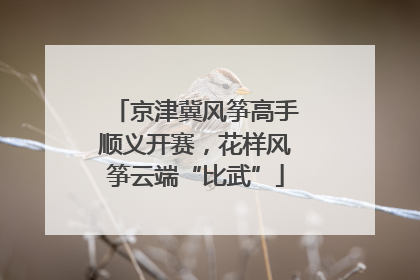 京津冀风筝高手顺义开赛，花样风筝云端“比武”