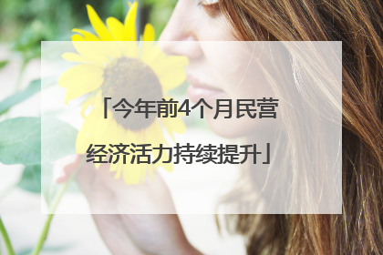 今年前4个月民营经济活力持续提升