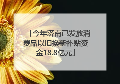 今年济南已发放消费品以旧换新补贴资金18.8亿元