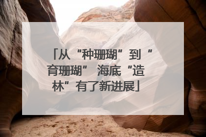 从“种珊瑚”到“育珊瑚” 海底“造林”有了新进展