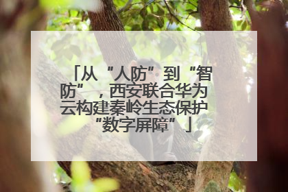 从“人防”到“智防”，西安联合华为云构建秦岭生态保护“数字屏障”