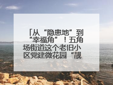 从“隐患地”到“幸福角”！五角场街道这个老旧小区党建微花园“靓”出幸福新图景