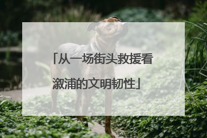 从一场街头救援看溆浦的文明韧性