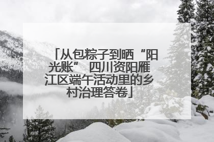 从包粽子到晒“阳光账” 四川资阳雁江区端午活动里的乡村治理答卷