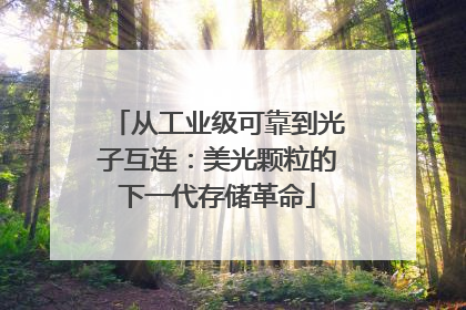 从工业级可靠到光子互连：美光颗粒的下一代存储革命