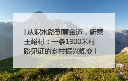 从泥水路到黄金道，新泰王峪村：一条1300米村路见证的乡村振兴蝶变