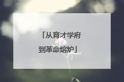从育才学府到革命熔炉