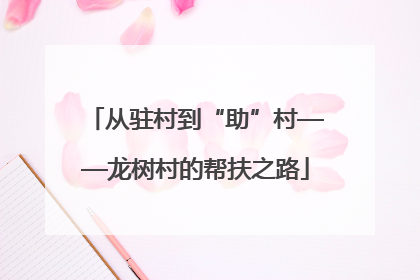从驻村到“助”村——龙树村的帮扶之路
