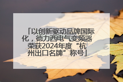 以创新驱动品牌国际化，德力西电气变频器荣获2024年度“杭州出口名牌”称号