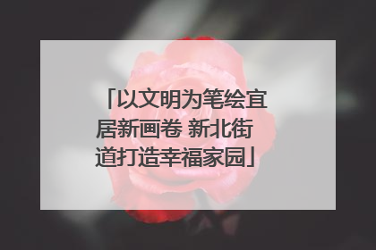 以文明为笔绘宜居新画卷 新北街道打造幸福家园