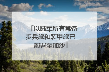 以陆军所有常备步兵旅和装甲旅已部署至加沙