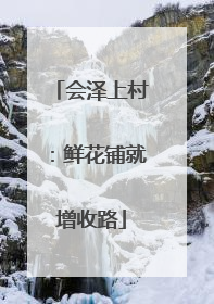 会泽上村：鲜花铺就增收路