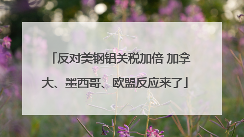 反对美钢铝关税加倍 加拿大、墨西哥、欧盟反应来了