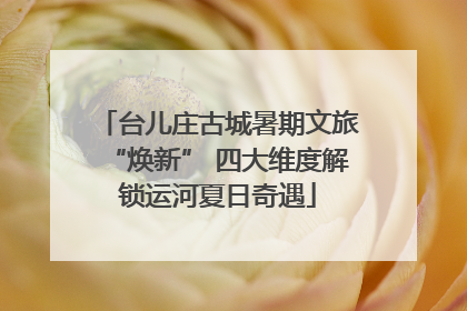 台儿庄古城暑期文旅“焕新” 四大维度解锁运河夏日奇遇