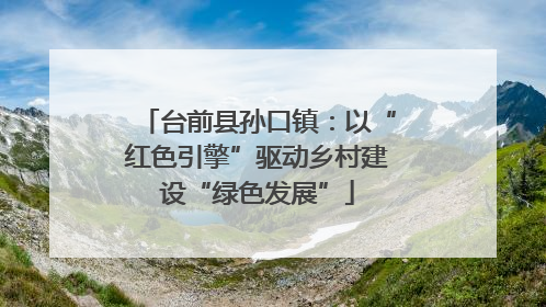 台前县孙口镇：以“红色引擎”驱动乡村建设“绿色发展”