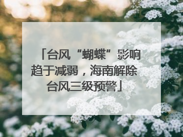 台风“蝴蝶”影响趋于减弱，海南解除台风三级预警