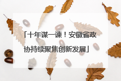 十年谋一谏！安徽省政协持续聚焦创新发展