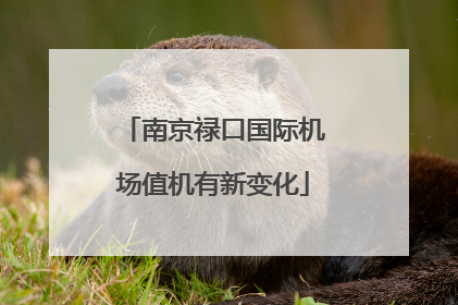 南京禄口国际机场值机有新变化