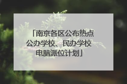 南京各区公布热点公办学校、民办学校电脑派位计划