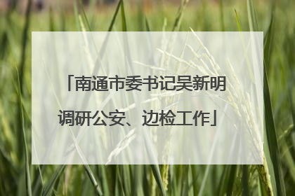 南通市委书记吴新明调研公安、边检工作