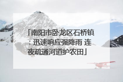 南阳市卧龙区石桥镇：迅速响应强降雨 连夜疏通河道护农田