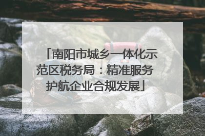 南阳市城乡一体化示范区税务局：精准服务护航企业合规发展